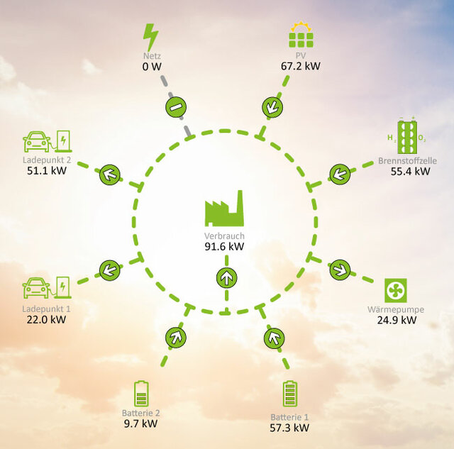 Diagram of the AMPERIX® EMS from Wendeware