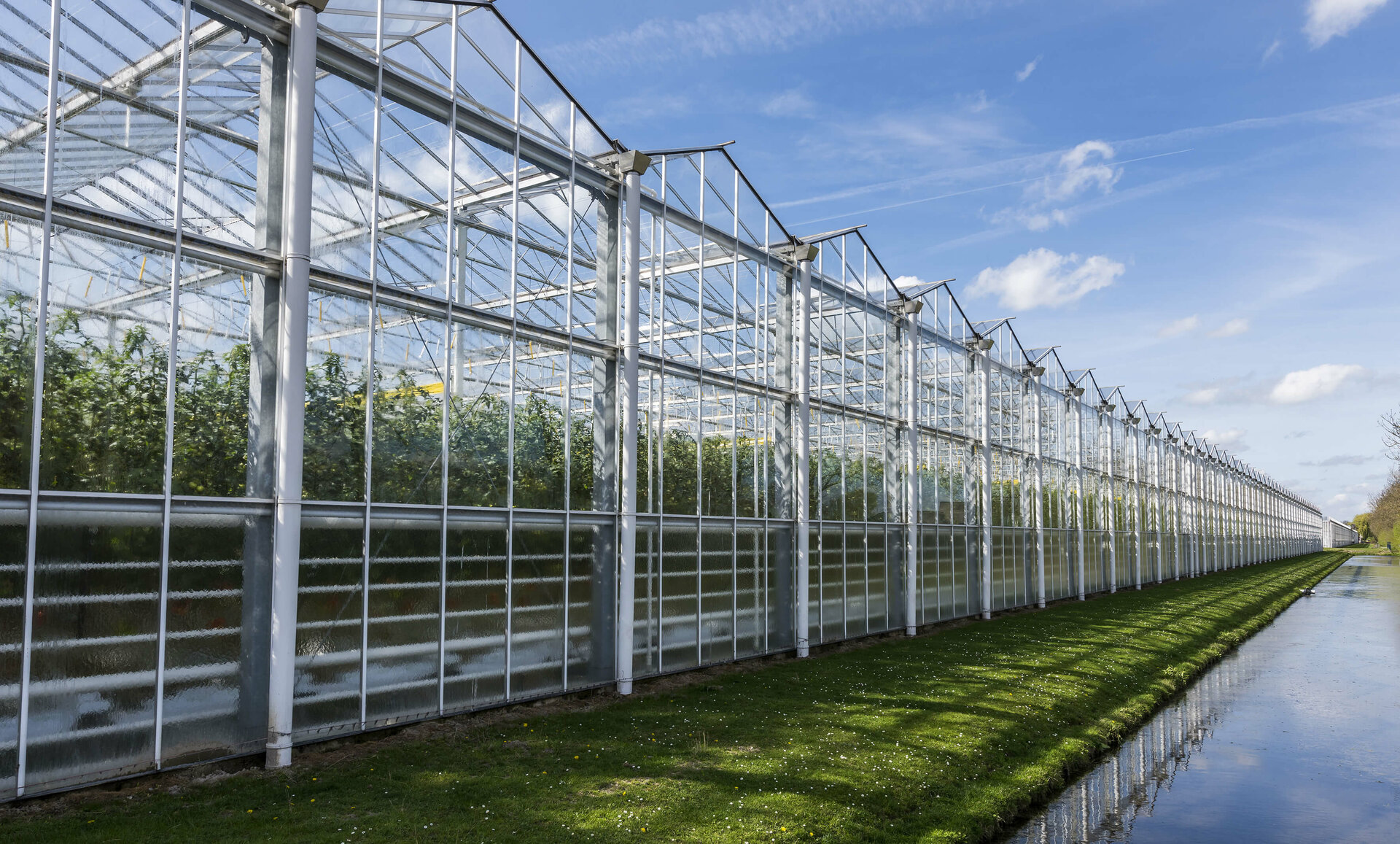 Large greenhouse for plants